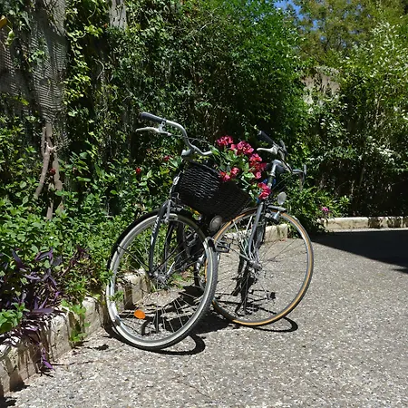 Antica La Viola, With Private Pool 住宿加早餐酒店 莱切