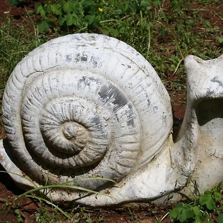 فندق مبيت وإفطار Antica La Viola, With Private Pool 4*