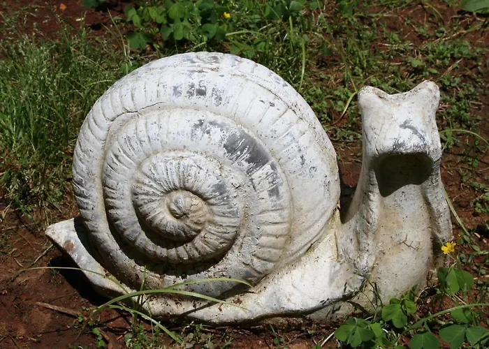 Bed and Breakfast Antica La Viola, With Private Pool 4*